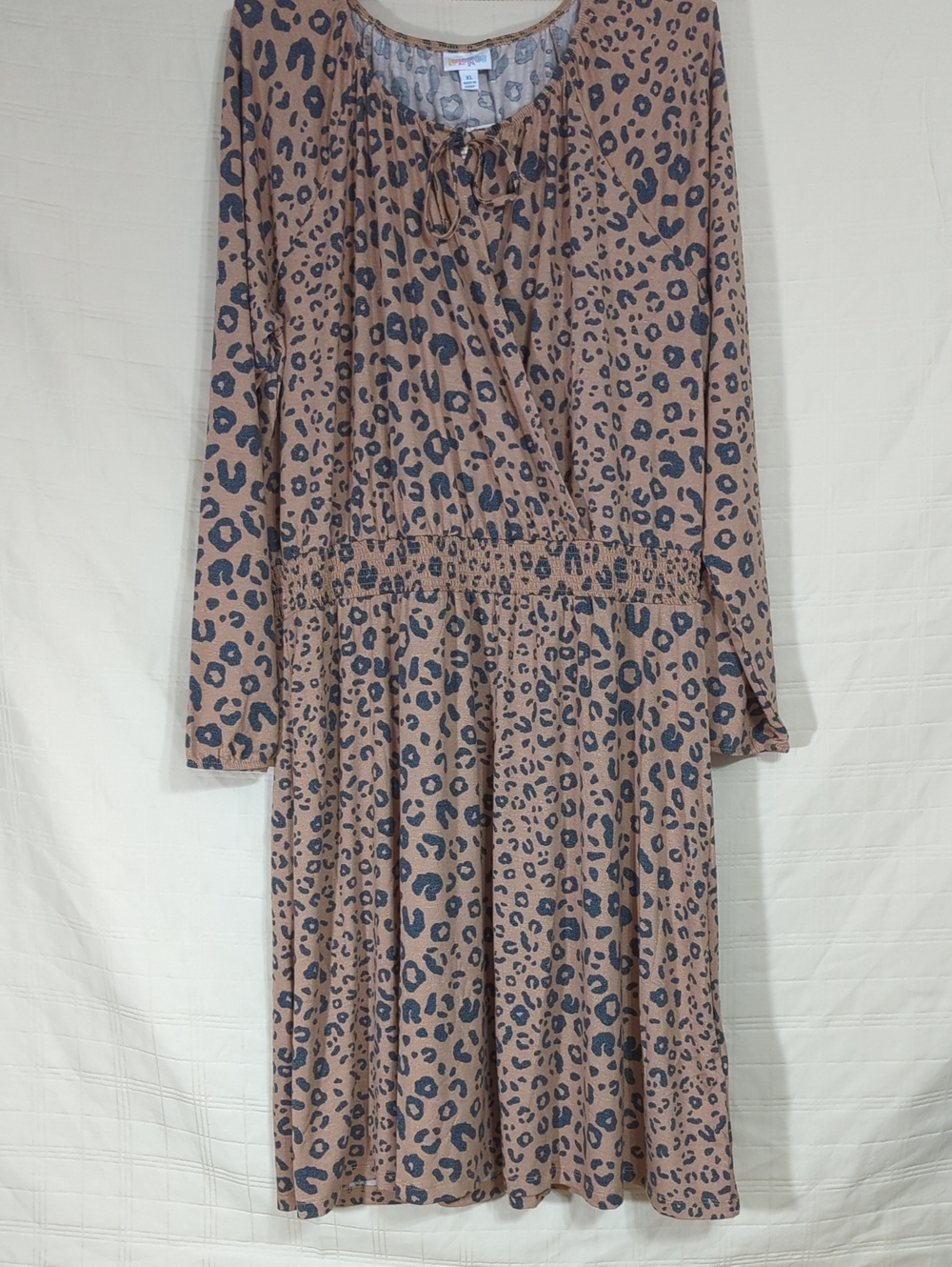 Anonymous Leopard Print Long Sleeve Midi Dress in Brown